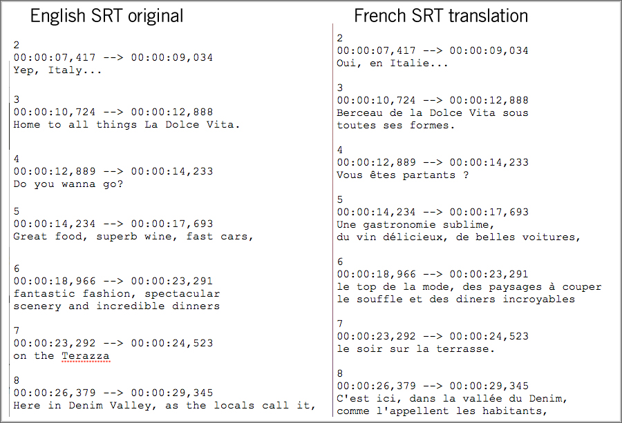 SRT translation service