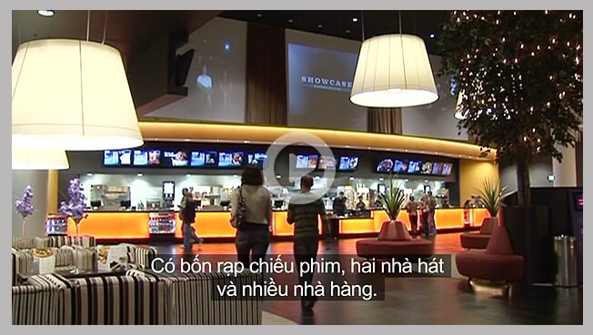 vietnamese subtitling