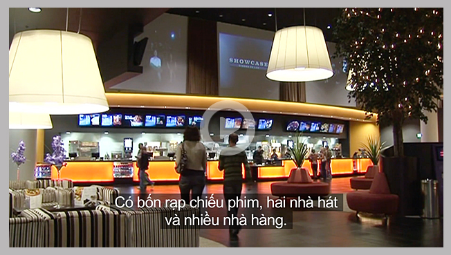 Vietnamese subtitling services