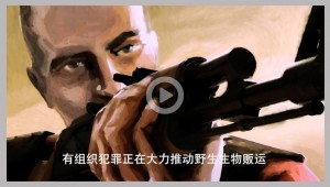 Chinese subtitling