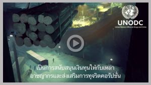 Thai Subtitling