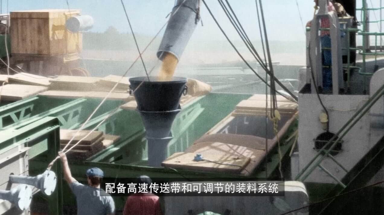 Chinese subtitling for Bunge