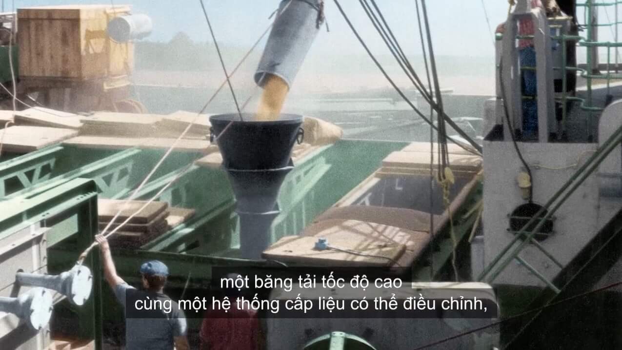 Vietnamese Subtitling Bunge